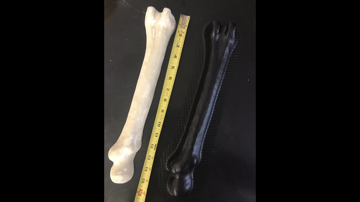 Femur Bone 16" Mold ABS