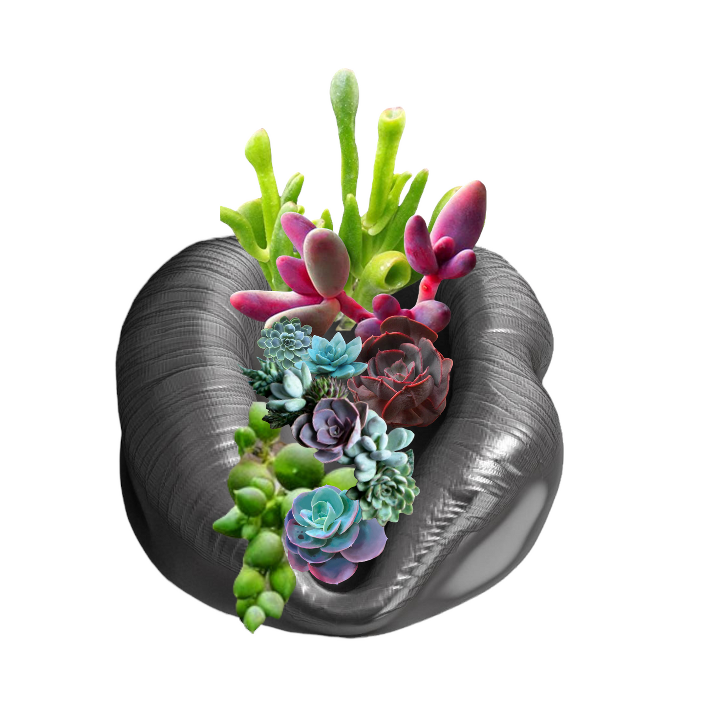 Kiss Lips Mold