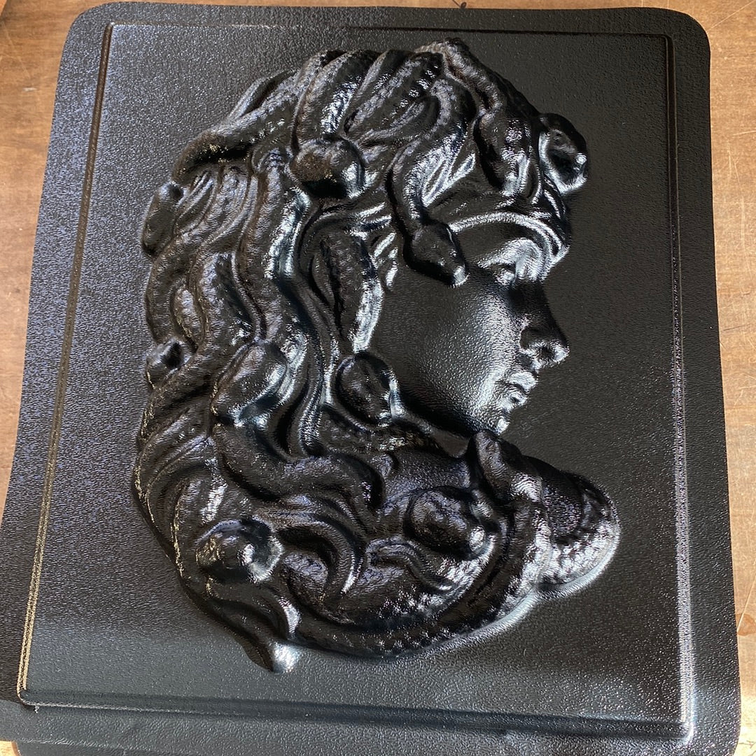 Medusa Snakes Mold