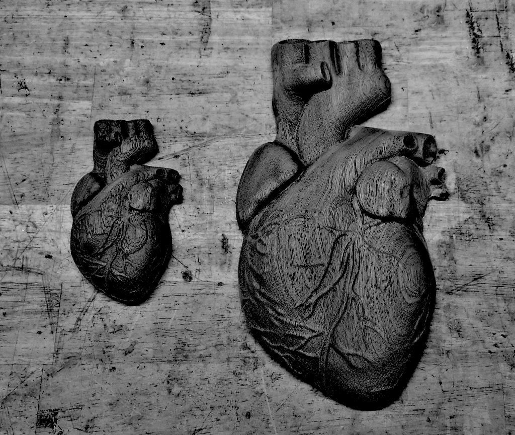 Anatomical Heart Molds