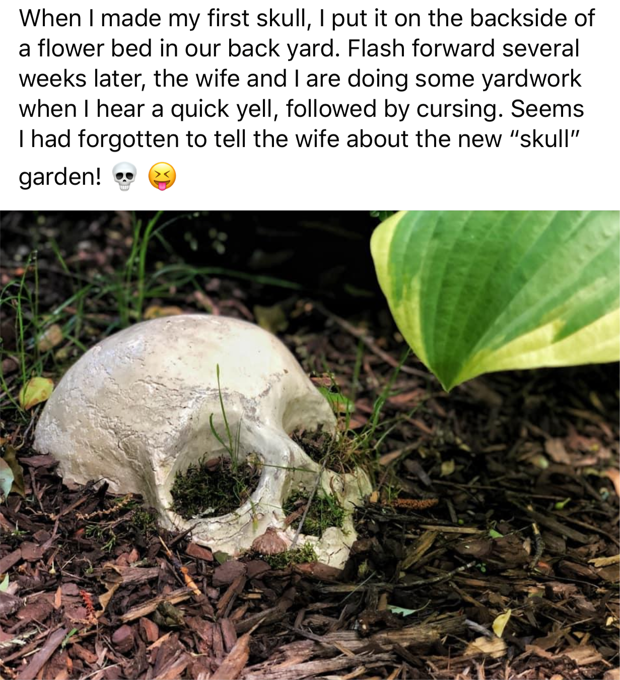 Skull 11" Mold