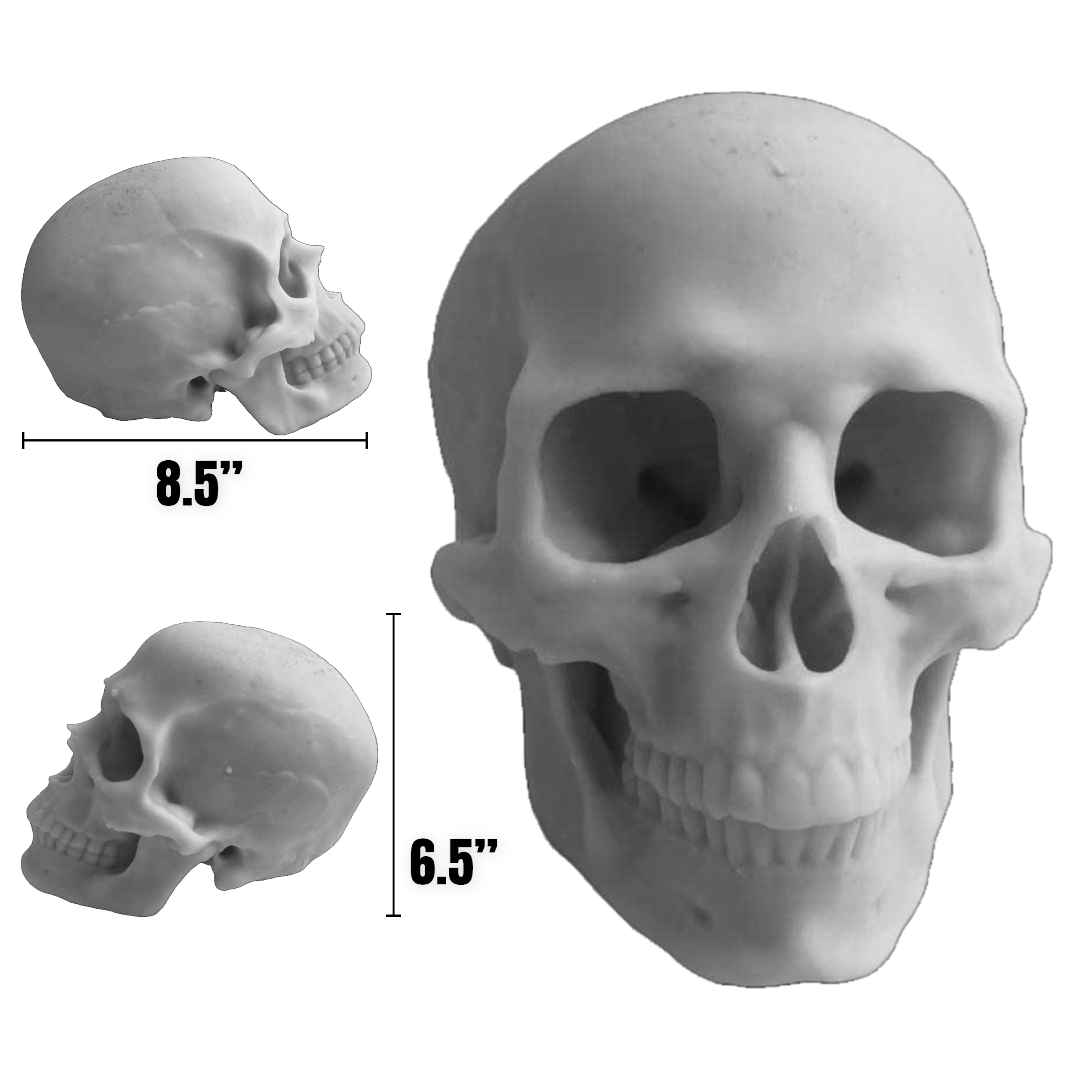 Full Scale Skull Mold Silicone