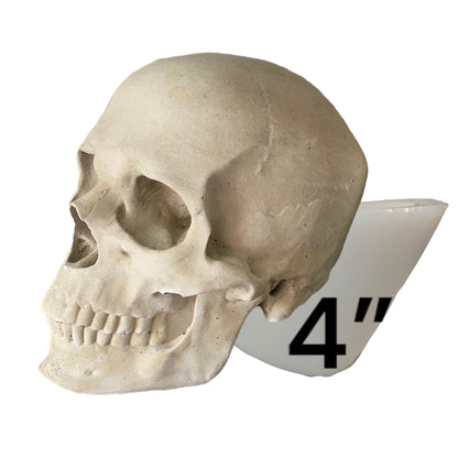 4” Skull Silicone Mold