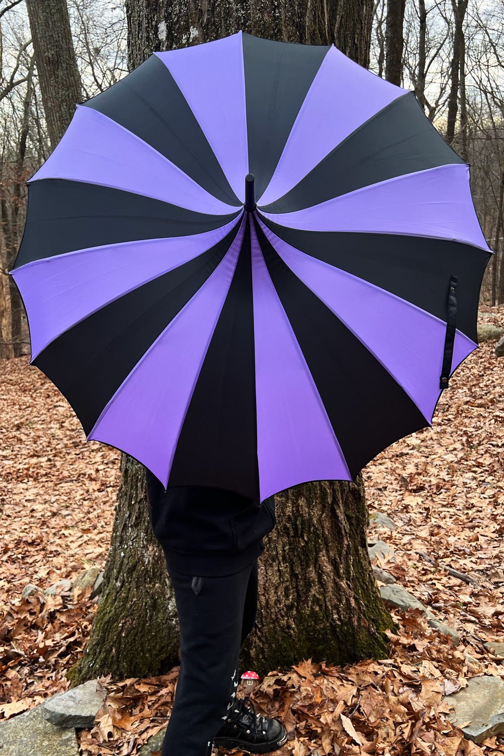 Batwing Pagoda Umbrella BLACK and LIGHT PURPLE