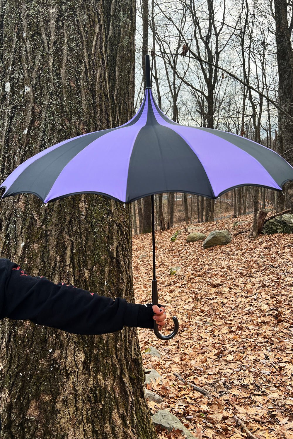 Batwing Pagoda Umbrella BLACK and LIGHT PURPLE
