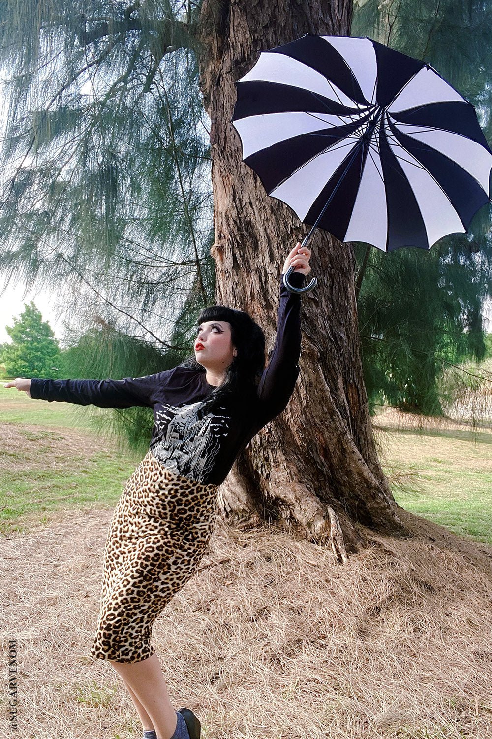 Batwing Pagoda Umbrella BLACK and WHITE STRIPED