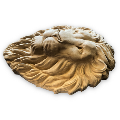 Large Lions Head