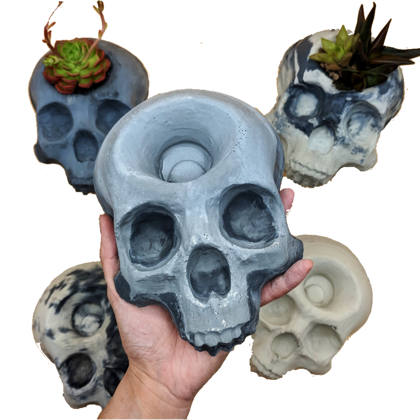 Skull Planter 8" Mold