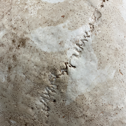 Full Scale Skull Mold Silicone