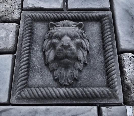 Lion Square Mold 12" ABS