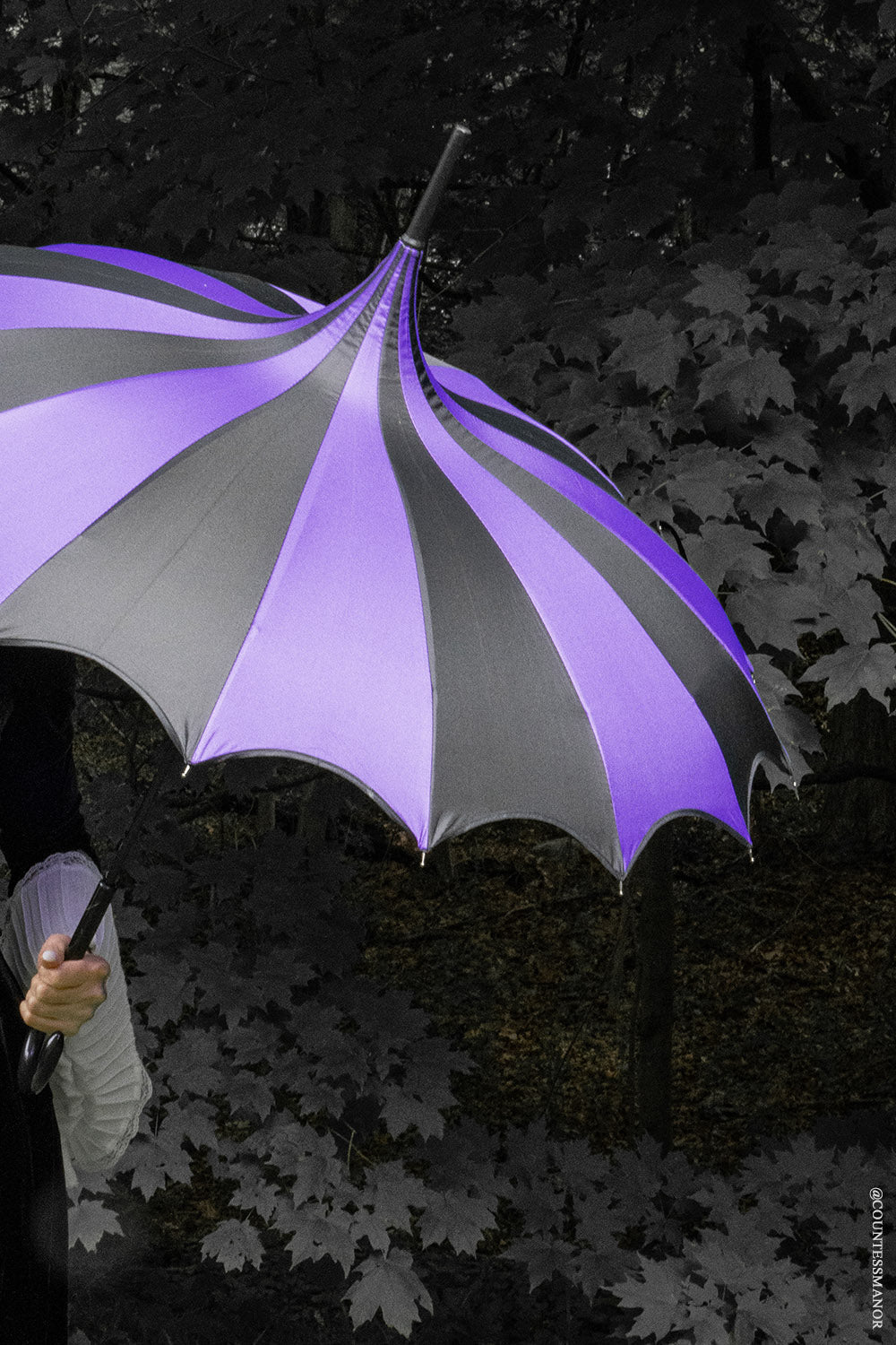 Batwing Pagoda Umbrella BLACK and DARK PURPLE